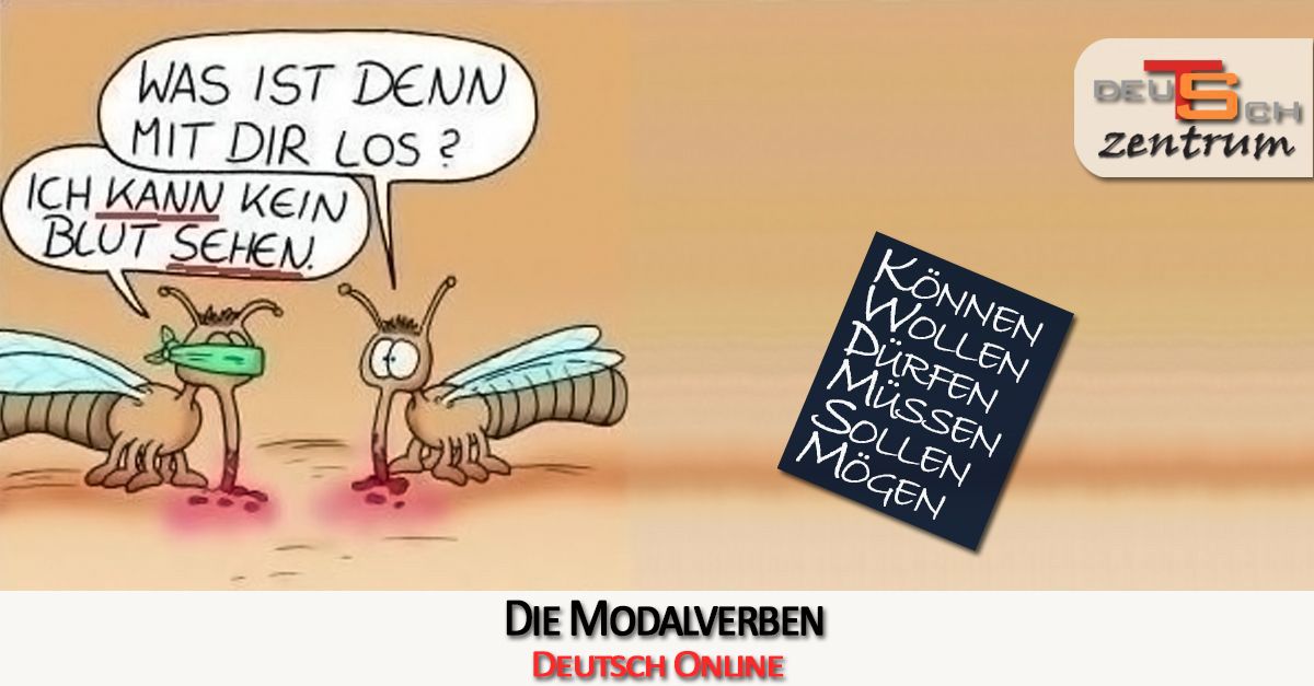 Übung zu Modalverben