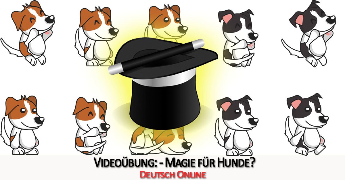 German with videos: The magician for dogs